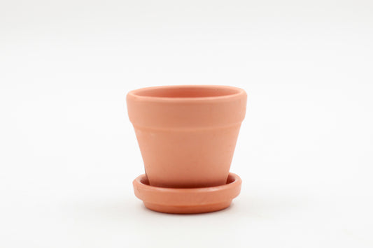 Ø5,5 baby terracotta pot met schotel